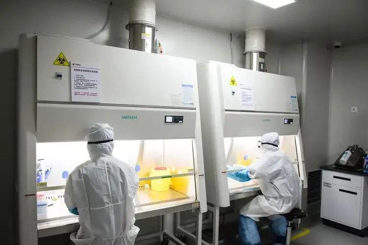 泰子基因检测中心在苏州还有哪些类似的服务项目，也包含亲子鉴定插图1