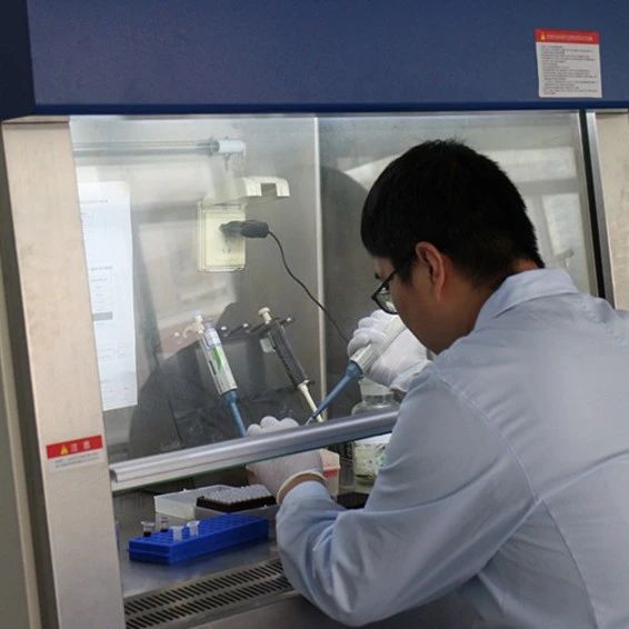 天津泰子基因鉴定机构与同行亲子鉴定机构：技术和设备相同？