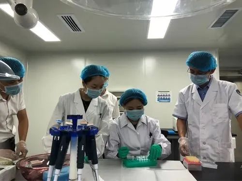 除了苏州和上海，还有哪些城市可以出具亲子鉴定报告？插图1
