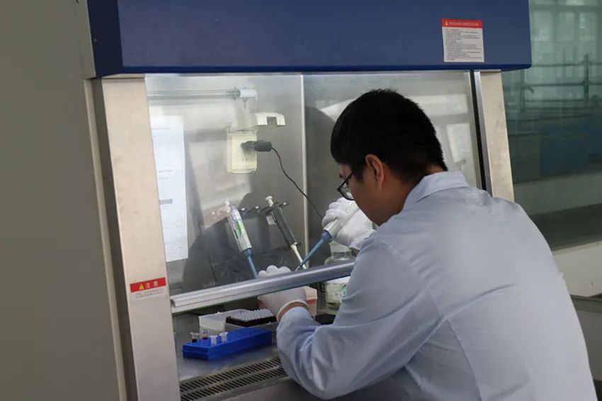 天津泰子基因鉴定机构与同行亲子鉴定机构：技术和设备相同？插图