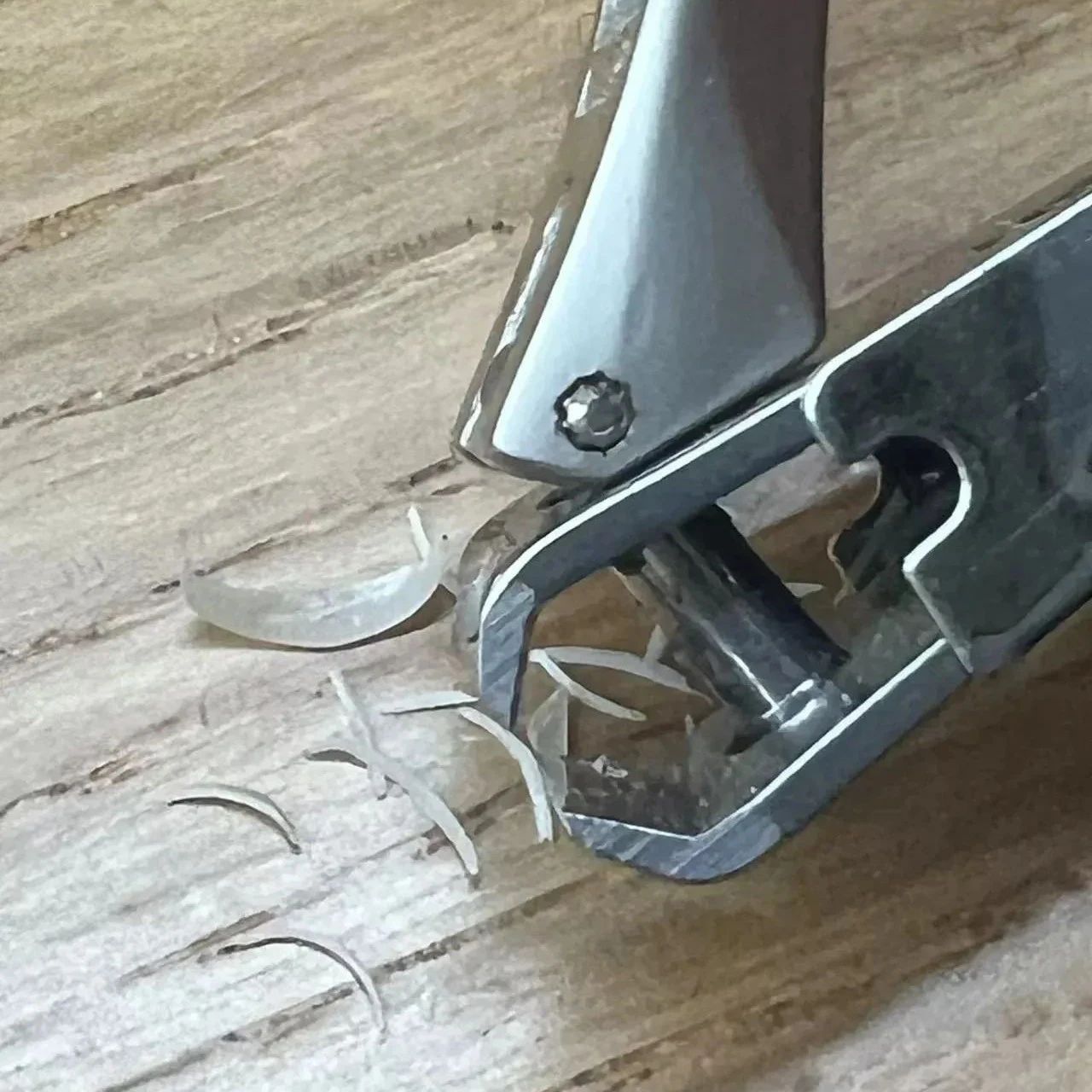 苏州剪下来的指甲可以做亲子鉴定确认关系，具体要怎样做？