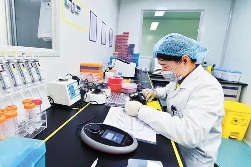 苏州怀孕DNA检测服务，抽取孕妇手臂静脉血作为样本，男方样本呢？插图