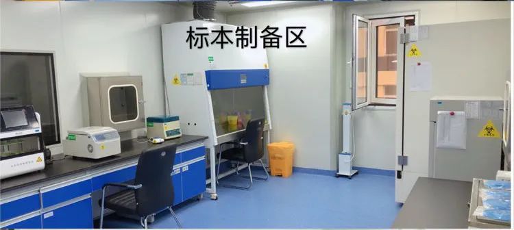苏州泰子基因孕期检测需要哪些步骤？要清楚哪些检测知识和流程插图2