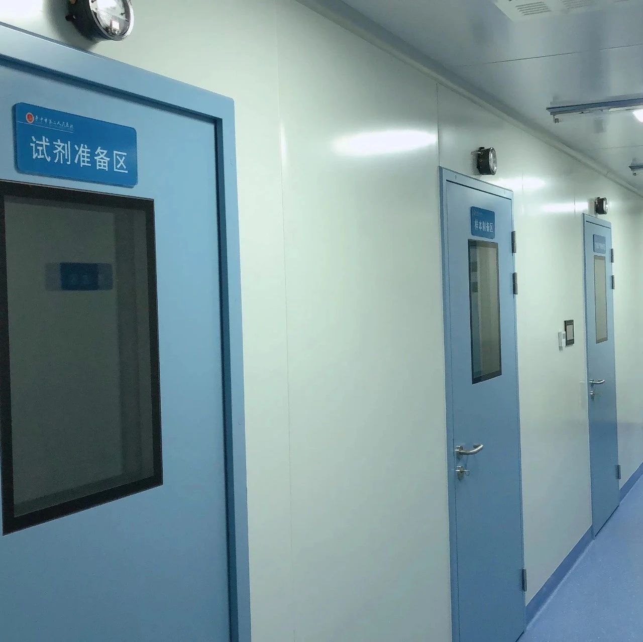 天津亲子鉴定对于其他类型的鉴定，有哪些不同的申请流程和要求？
