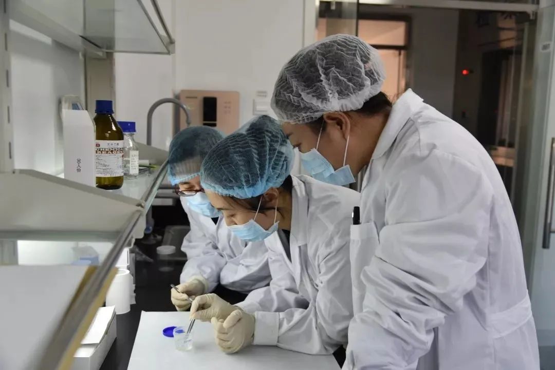上海泰子鉴定实验室分析过程中如何防止样本混淆或数据传输错误？插图