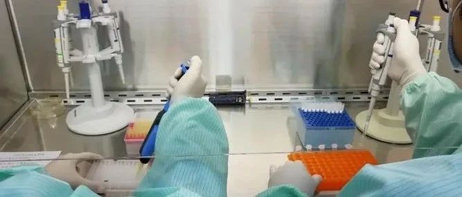 天津泰子基因亲子鉴定机构预约地址，支持携带采集好的样本办理