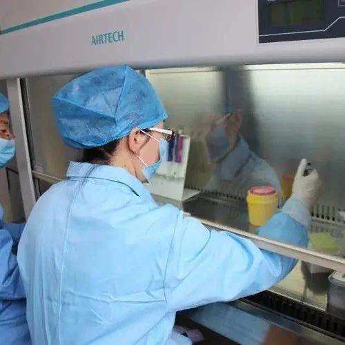 泰子基因检测中心在苏州还有哪些类似的服务项目，也包含亲子鉴定