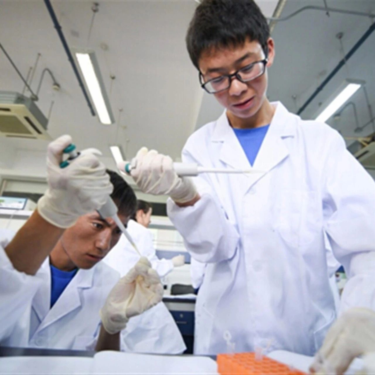 苏州隐私亲子鉴定中心的鉴定费用是多少？其它亲子鉴定费用价格