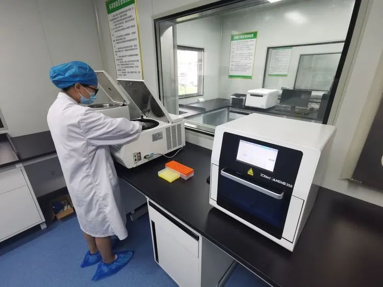 能否介绍更多关于基因检测的内容？苏州泰子基因检测科普干货插图1