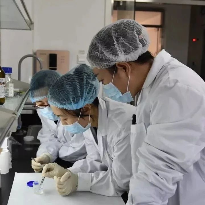 上海泰子鉴定实验室分析过程中如何防止样本混淆或数据传输错误？
