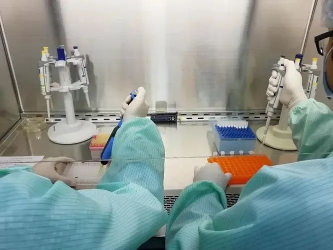 天津泰子基因亲子鉴定机构预约地址，支持携带采集好的样本办理插图1