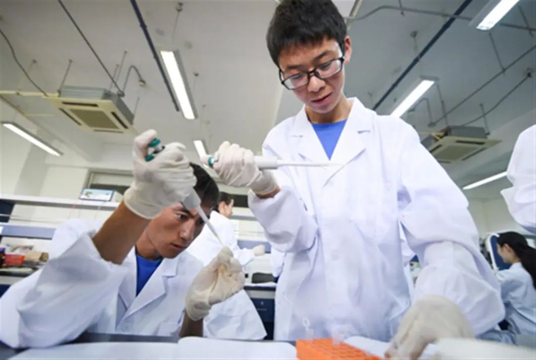 苏州隐私亲子鉴定中心的鉴定费用是多少？其它亲子鉴定费用价格插图