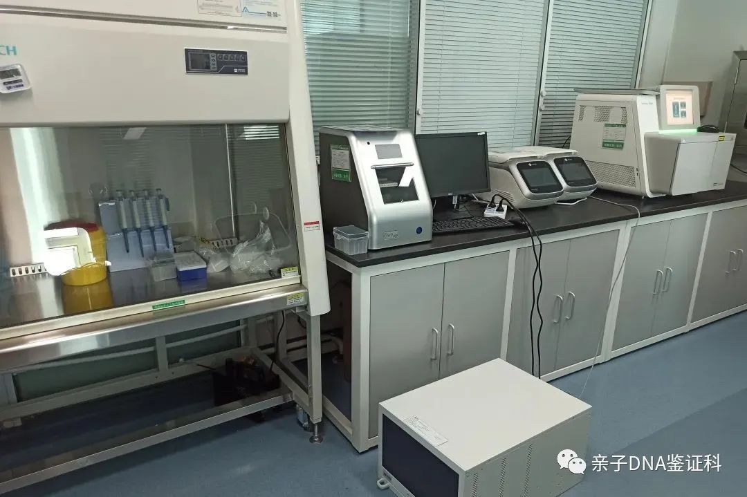 上海亲子鉴定机构，基因检测亲子鉴定，费用标准是多少插图
