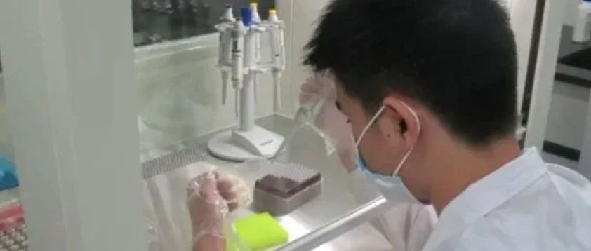 苏州基因检测机构，亲子鉴定+遗传病基因检测，关注新生儿健康