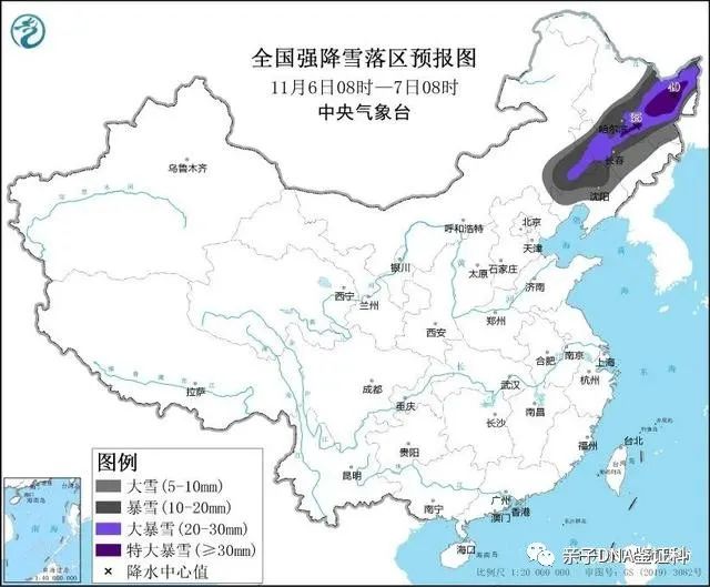 暴雪、寒潮、大风三预警齐发！东北强降雪进入最强时段插图