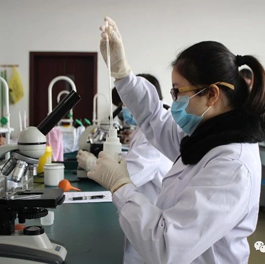 上海亲子关系认证：DNA化验师见证的二十余年支持与信赖