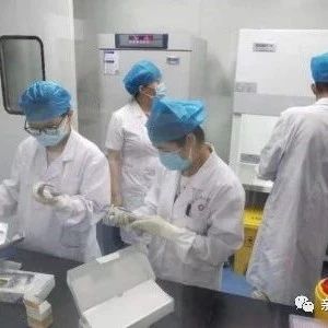 天津隐私亲子鉴定采样头发样本，邮寄到亲子鉴定机构最快出结果