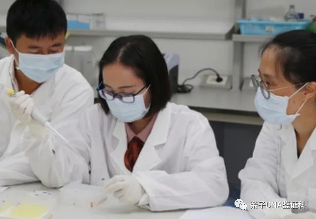 天津刘先生做亲子鉴定，对准确率有所怀疑，一招解决插图1