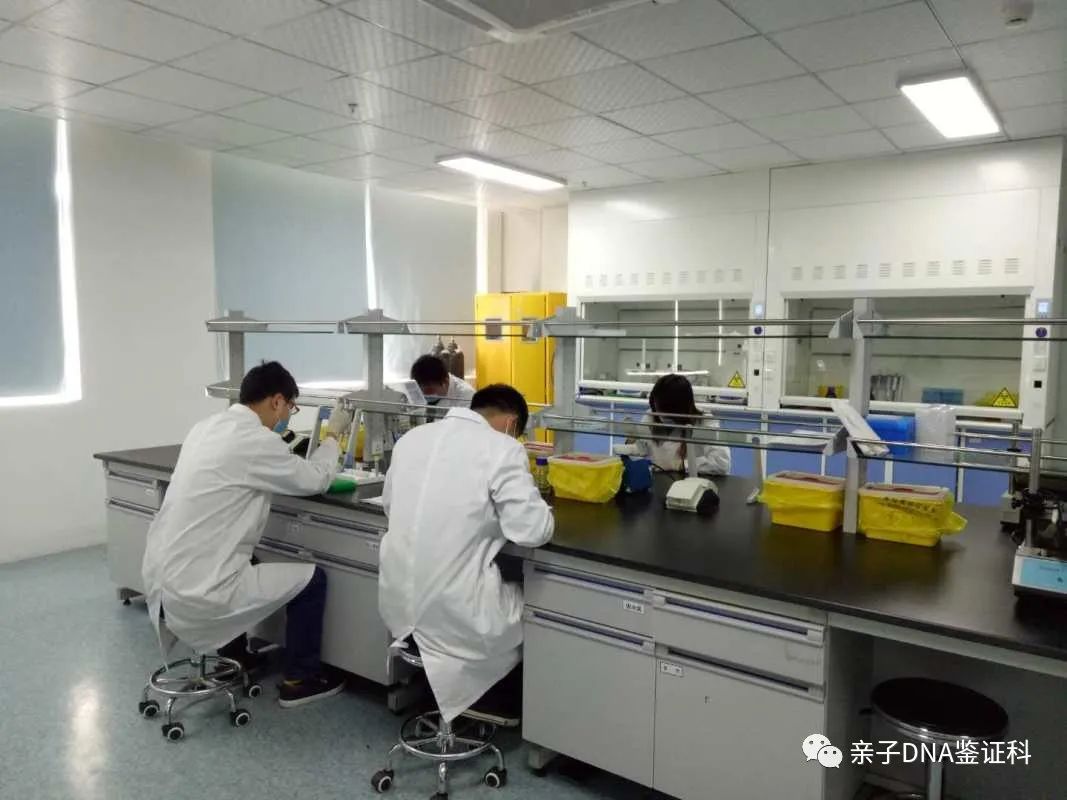 天津个体识别鉴定，证明生物样本是否属于您或者某个人-泰子基因插图