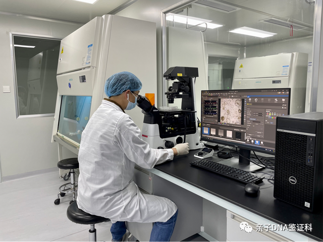上海亲子鉴定在哪个医院可以做，需要预约才能做，具体要怎样做插图