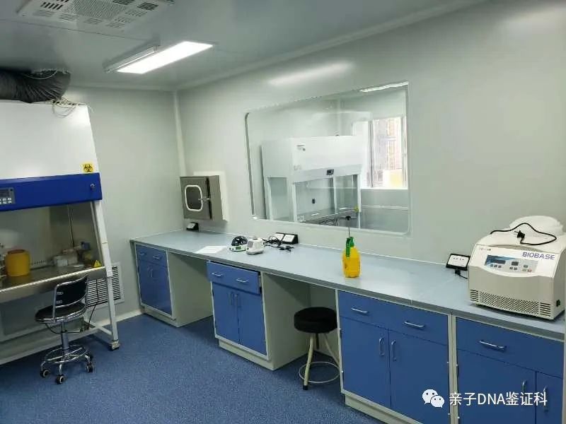上海亲子鉴定在哪个医院可以做，需要预约才能做，具体要怎样做插图1