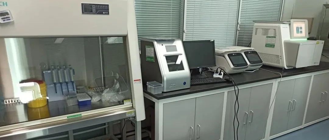 上海亲子鉴定机构，基因检测亲子鉴定，费用标准是多少