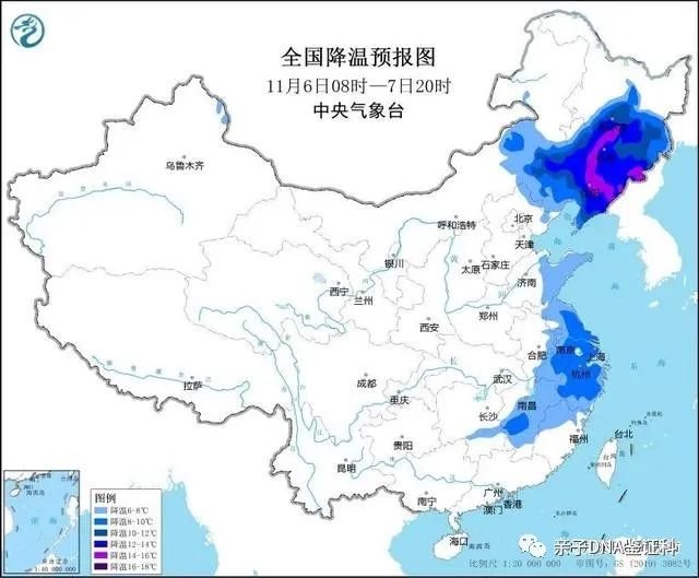 暴雪、寒潮、大风三预警齐发！东北强降雪进入最强时段插图1