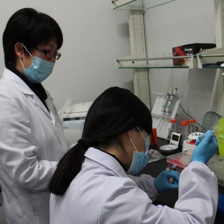 苏州陈女士要做孕期亲子关系认定，到现场被告知不能办理