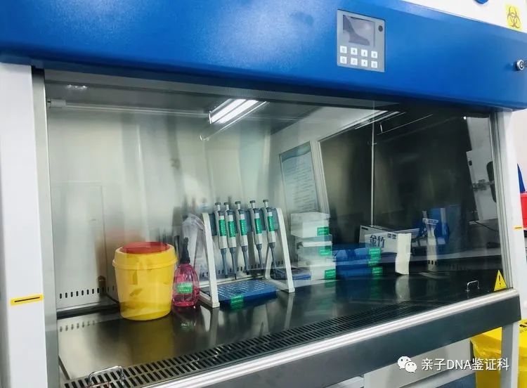 上海亲子鉴定化验所选择，司法鉴定和隐私鉴定办理流程不一样插图2