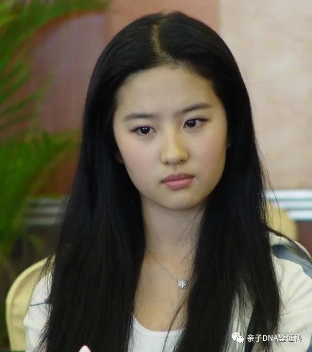 上海这一夜，36岁刘亦菲用丰腴饱满的身材，秒杀了大片白幼瘦女星插图8