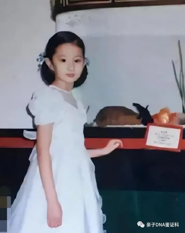 上海这一夜，36岁刘亦菲用丰腴饱满的身材，秒杀了大片白幼瘦女星插图9