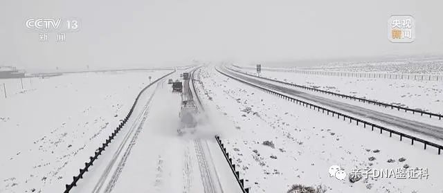 暴雪、寒潮、大风三预警齐发！东北强降雪进入最强时段插图4