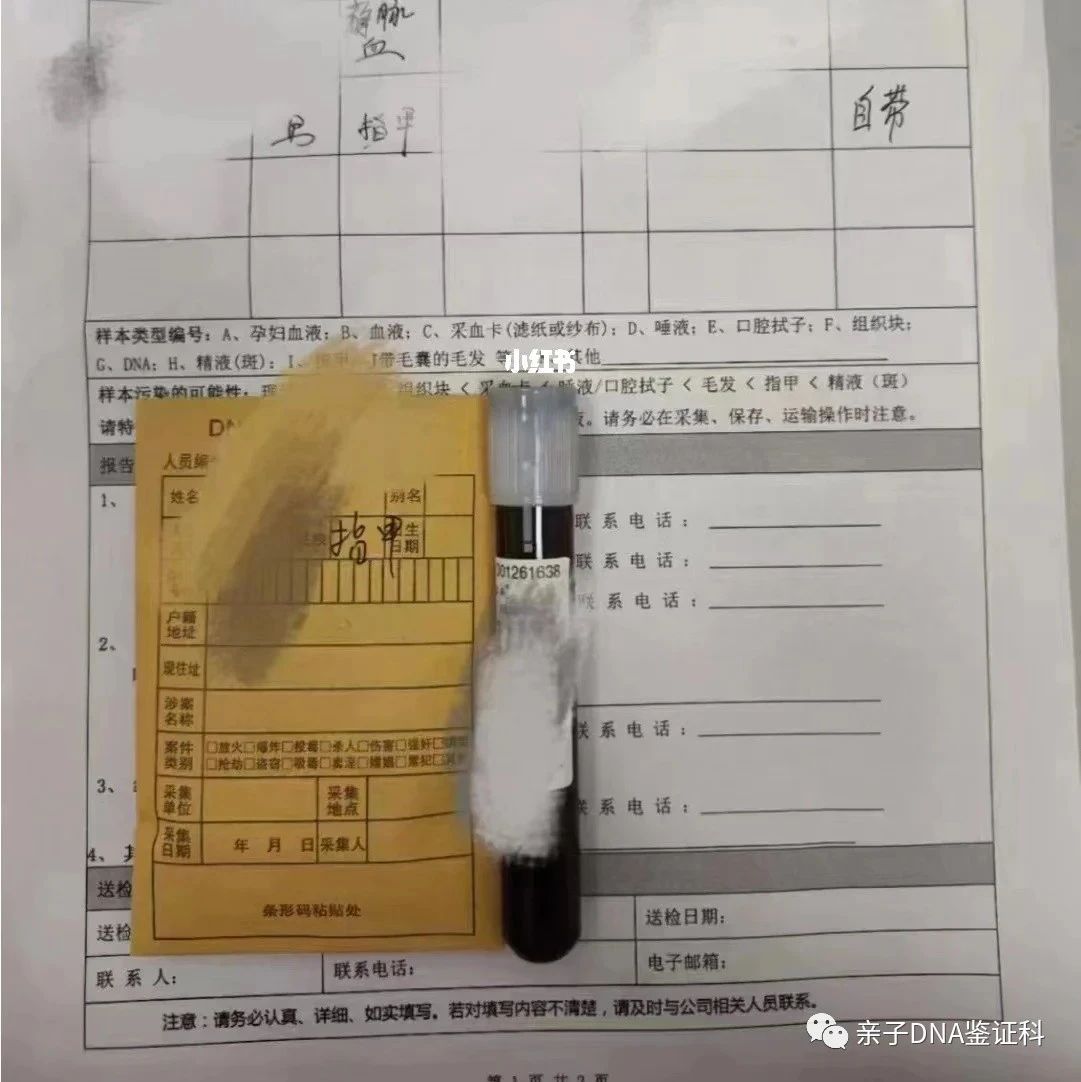 孕期亲子鉴定需要什么材料和流程，怀孕几周才可以做-泰子基因