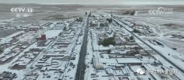 暴雪、寒潮、大风三预警齐发！东北强降雪进入最强时段插图6