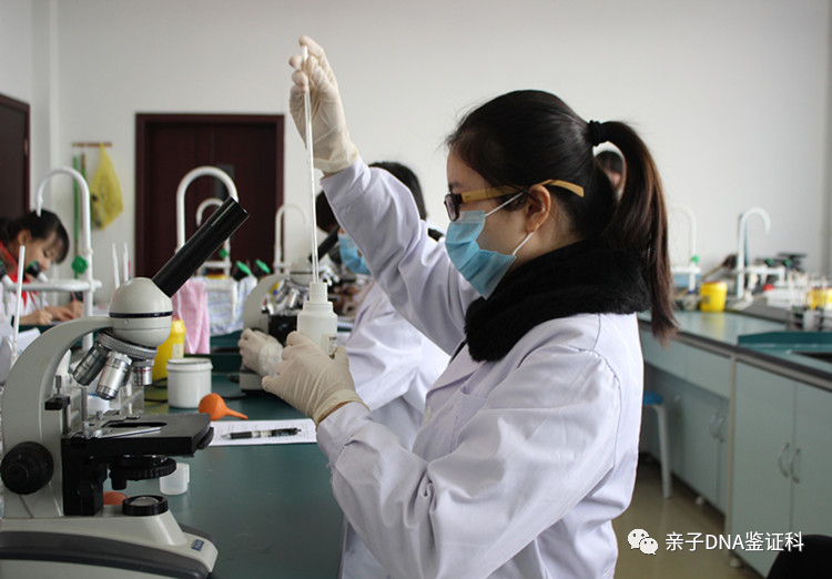 上海亲子关系认证：DNA化验师见证的二十余年支持与信赖插图