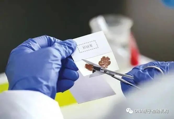 上海个人隐私亲子鉴定需要什么手续？可以邮寄进行办理？插图1