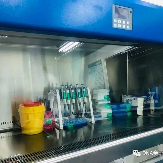上海做隐私亲子鉴定大概需要多少钱呢？需要提交什么资料