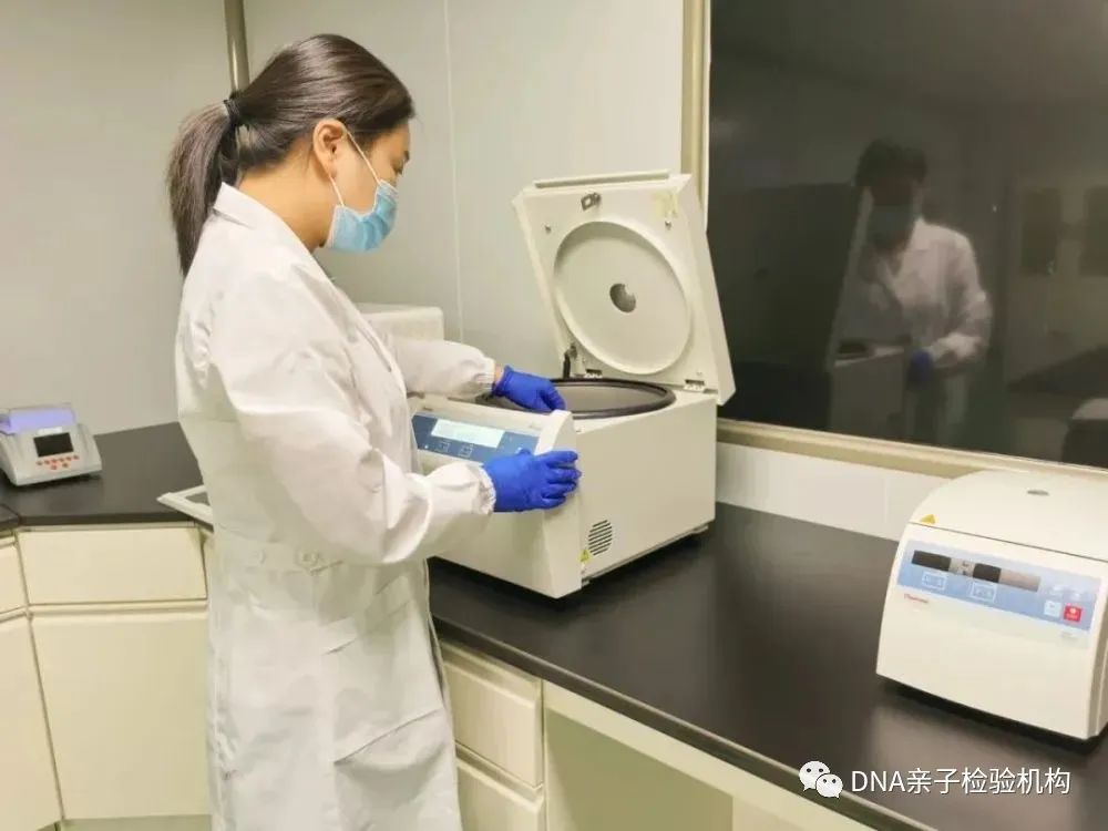 上海孕期亲子鉴定有几家正规机构，孕期6周可测，安全可靠插图1