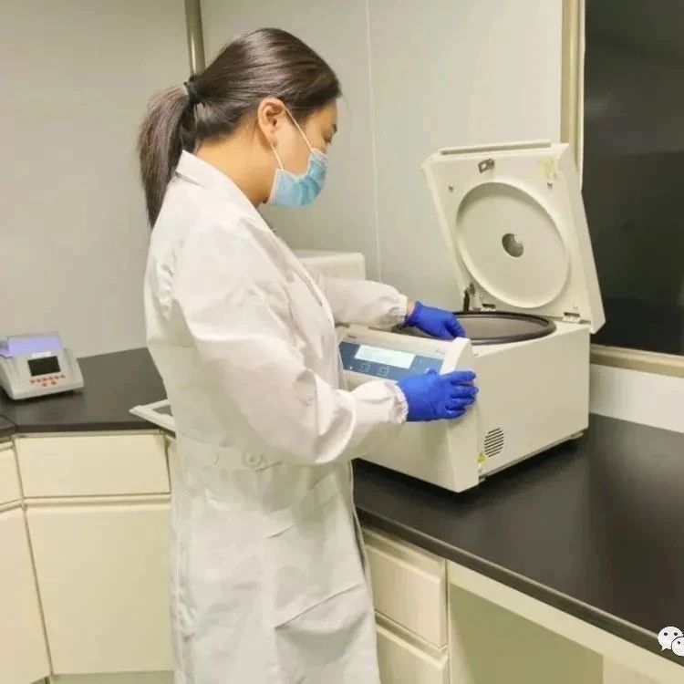 上海孕期亲子鉴定有几家正规机构，孕期6周可测，安全可靠
