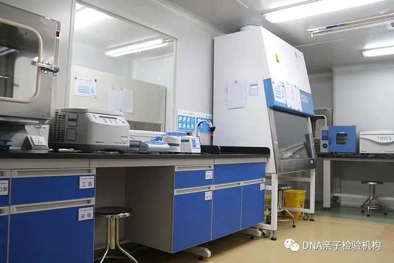 双旦天津亲子鉴定费用是多少钱，有活动吗？什么时候才开始插图1