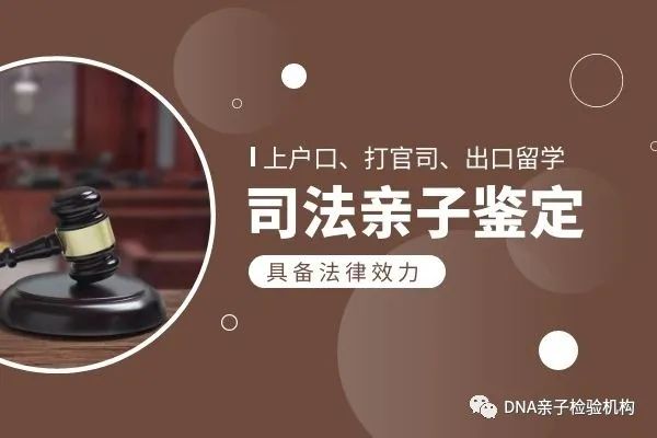 天津司法鉴定需要注意哪些事项？这个很重要，不然会白跑一趟插图
