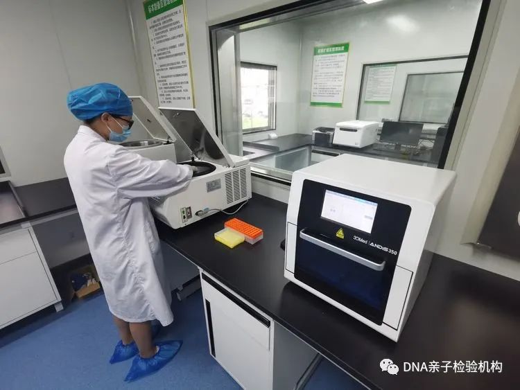 苏州隐私亲生关系认证，拔下来的头发通过邮寄也能检测DNA插图