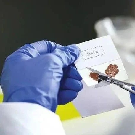 上海个人隐私亲子鉴定需要什么手续？可以邮寄进行办理？