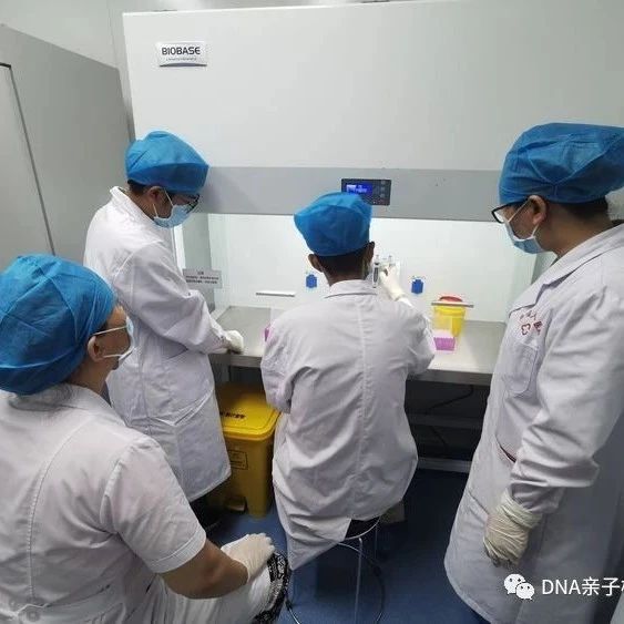 苏州亲子DNA检测费用：双十一优惠活动来袭，满减优惠名额有限