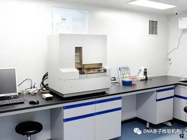 上海隐私亲子鉴定采样头发可以做鉴定，结果也是四天出具插图